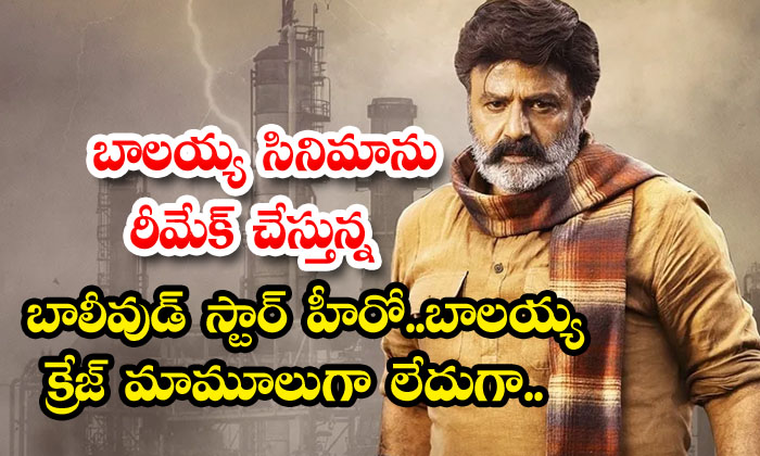  Bollywood Star Hero Who Is Remaking Balayya Movie. Balayya Craze Is Not Normal..-TeluguStop.com