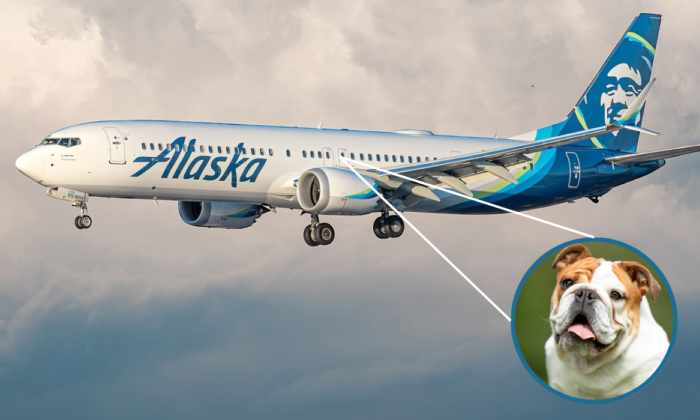  Owner's Case Against Alaska Airlines Over Death Of Dog During Flight, Airline La-TeluguStop.com