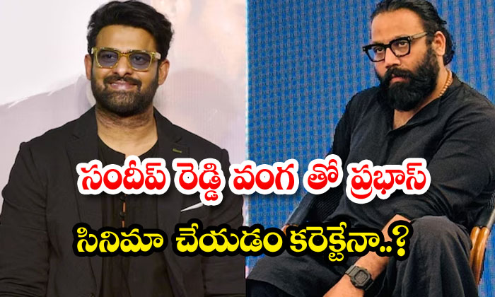  Is It Right For Prabhas To Do A Movie With Sandeep Reddy Vanga ,prabhas , Sande-TeluguStop.com