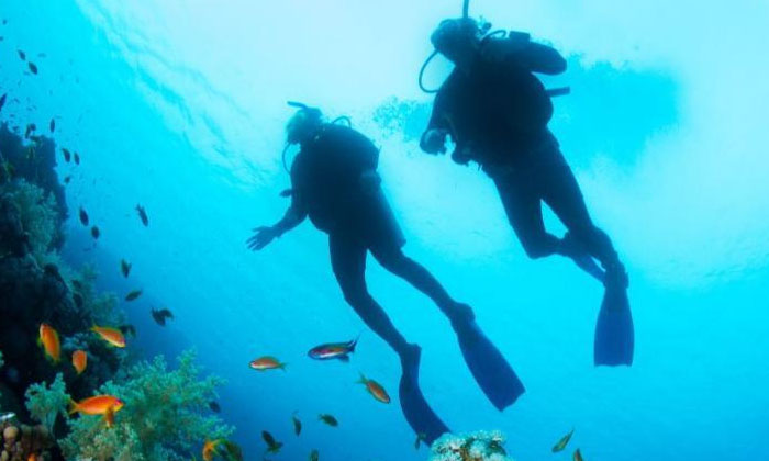  Saudi Couple Wedding At The Bottom Of The Red Sea, Underwater Wedding, Saudi Ara-TeluguStop.com