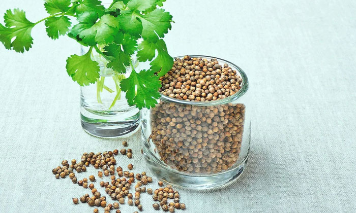 Telugu Fat, Fat Cutter, Tips, Healthy, Latest, Meltbelly-Telugu Health Telugu Fat, Fat Cutter, Tips, Healthy, Latest, Meltbelly-Telugu Health