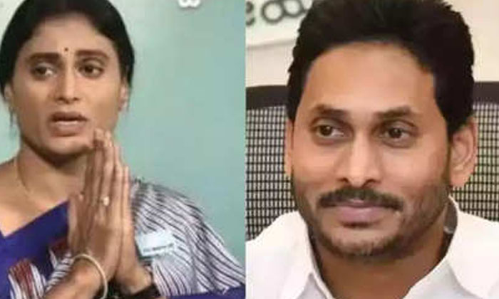  Teleconference 'sajjala' Sensational Comments On Sharmila's Affair , Sajjala Ram-TeluguStop.com