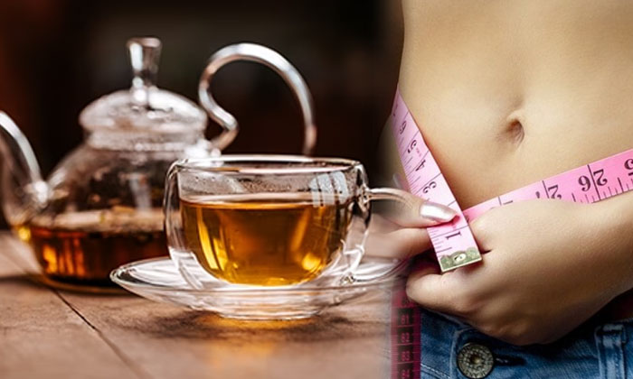  This Herbal Tea Helps To Lose Weight! Herbal Tea, Weight Loss, Health, Health Ti-TeluguStop.com