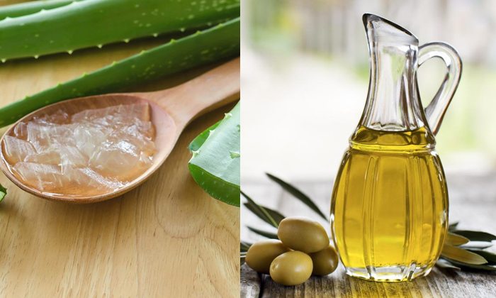 Telugu Aloevera Gel, Double, Coconut, Care, Care Tips, Healthy, Olive Oil, Thick