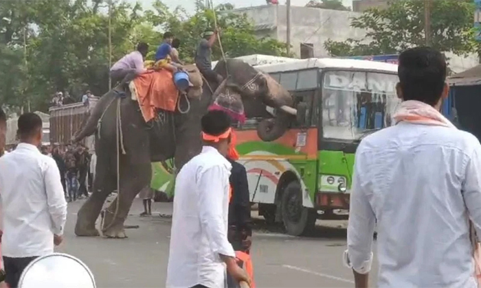  Viral Video Elephant Aggressively Attacking Car Bus On Road In Bihar Details, Vi-TeluguStop.com