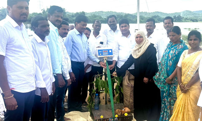 Stained Rice Should Be Purchased Immediately , Yellareddypet, Congress, Domma Stained Rice Should Be Purchased Immediately , Yellareddypet, Congress, Domma-TeluguStop.com