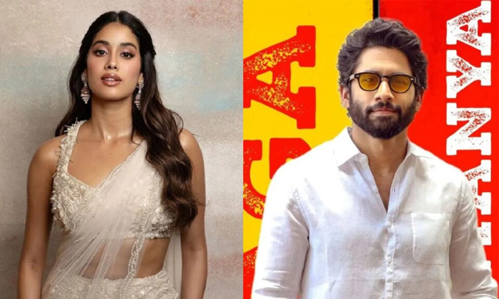  Buzz Of Janhvi Kapoor To Romance Akkineni Naga Chaitanya Details, Jhanvi Kapoor,-TeluguStop.com