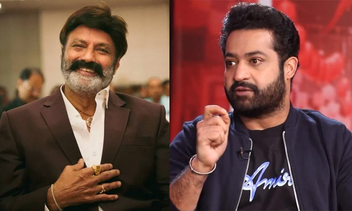  Junior Ntr Clarified His Differences With Nandamuri Balakrishna Details, Balakri-TeluguStop.com