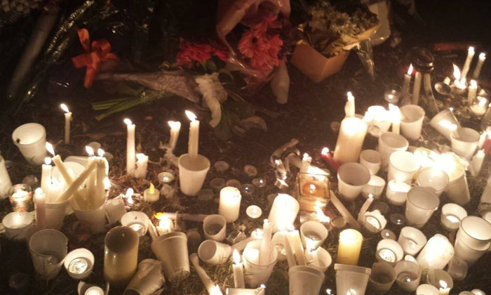 Telugu Australia, Bangalore, Big Reward, Professional, Wales, Sydney-Latest News