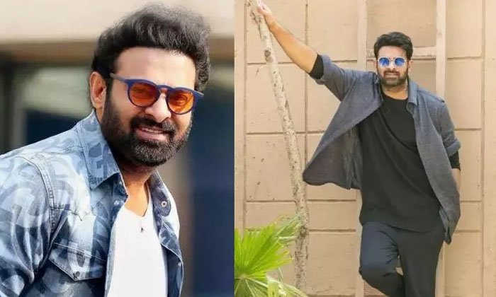  Shocking Facts About Prabhas Talent Details Inside Goes Viral In Social Media-TeluguStop.com