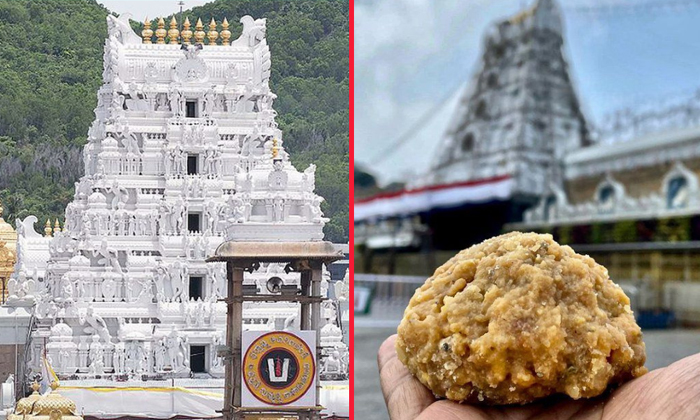  Supreme Court To Take Key Decision On Tirumala Laddu Issue Details, , Tirumala L-TeluguStop.com