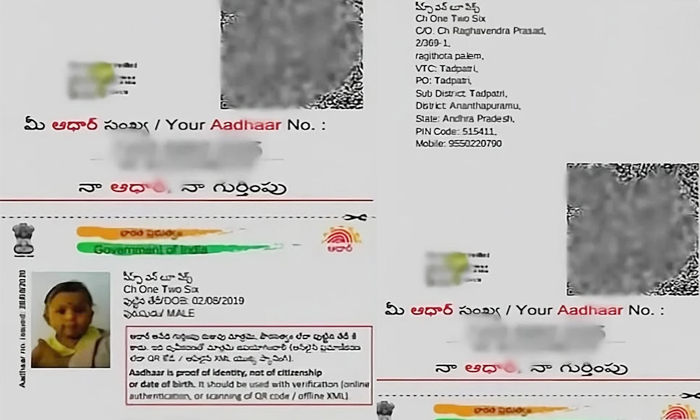 Telugu Aadhar, Anantapur, Raghavendra, Indian, Son, Tadipatri, Latest-Latest New