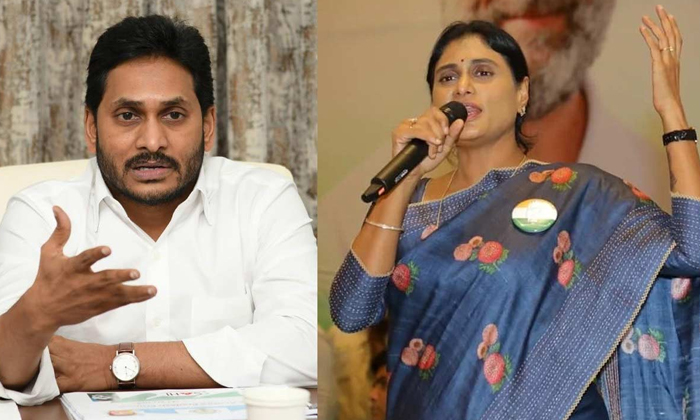  Ys Sharmila Comments On Jagan Bail Issue Details, Jagan, Sharmila, Ys Jagan, Ys-TeluguStop.com