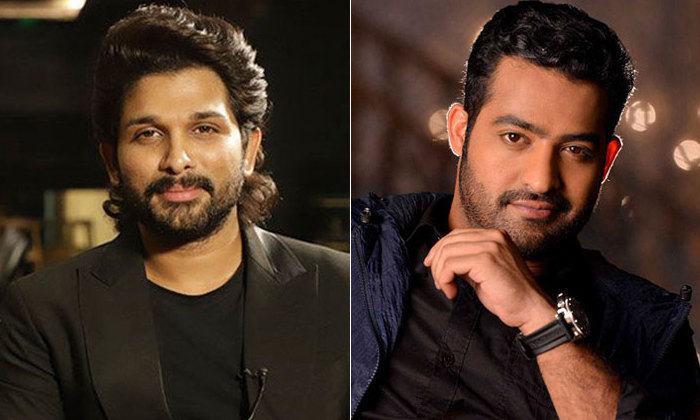  Allu Arjun Missed Movie Came To NTR What Was The Result Details, Ntr, Allu Arju,-TeluguStop.com