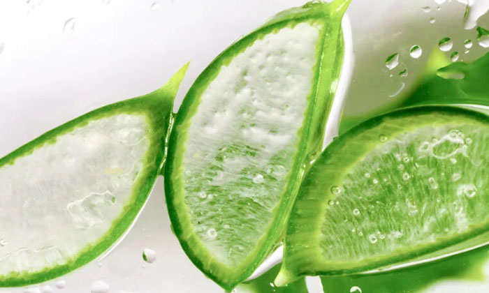  Amazing Benefits With Aloe Vera For Skin! Aloe Vera, Aloe Vera Benefits, Aloe Ve-TeluguStop.com