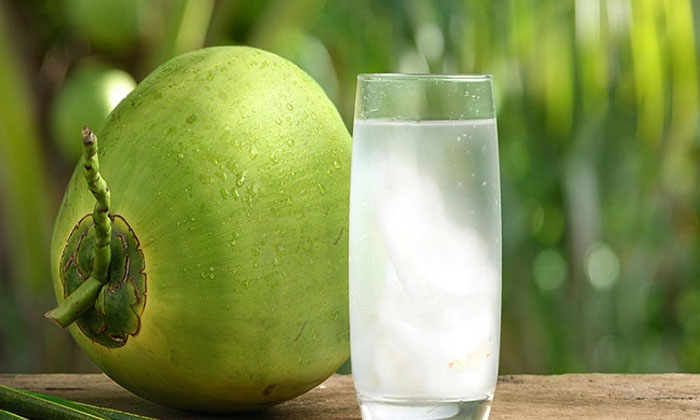 Telugu Coconut Coconut, Tips, Latest-Telugu Health