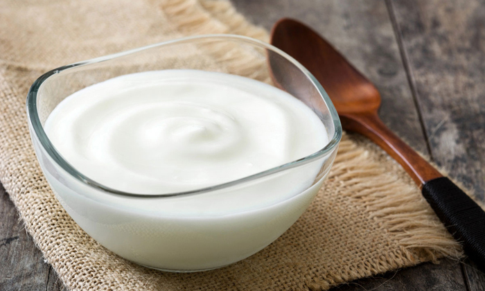  Can You Eat Curd In Winter Details, Curd, Curd Health Benefits, Winter, Winter-TeluguStop.com