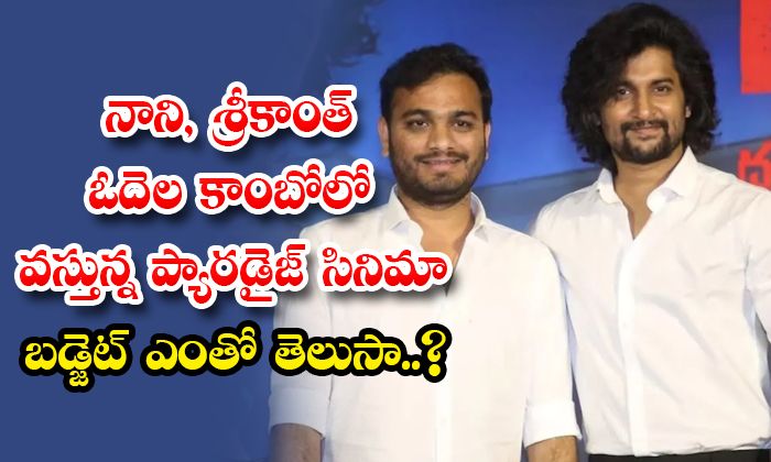  Do You Know The Budget Of Nani And Srikanth Odela Upcoming Movie Paradise Detail-TeluguStop.com