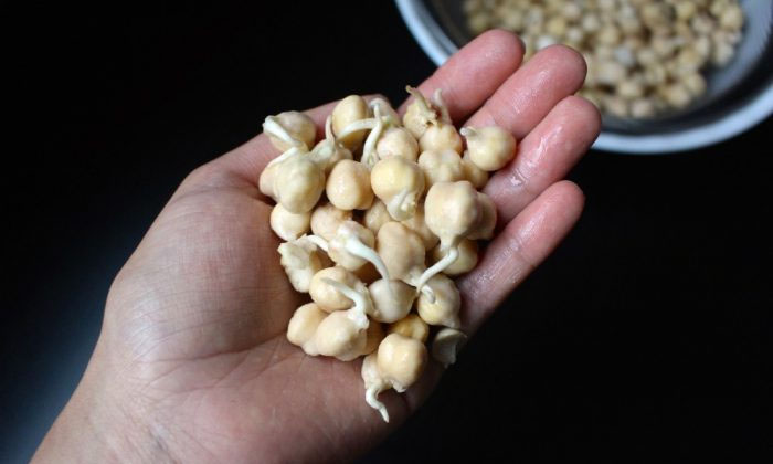  Do You Know What Happens When Women Eat Sprouted Chickpeas? Sprouted Chickpeas,-TeluguStop.com