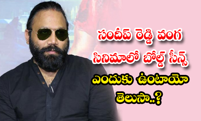  Do You Know Why There Are Bold Scenes In Sandeep Reddy Vanga Movie Details,sande-TeluguStop.com