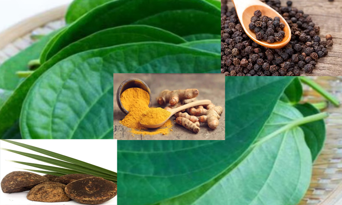 Telugu Black Pepper, Tips, Latest, Turmeric, Season-Telugu Health