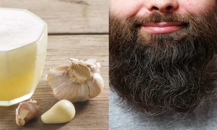 Telugu Beard, Beard Tips, Oil, Garlic, Care, Care Tips, Latest, Thick Beard-Telu