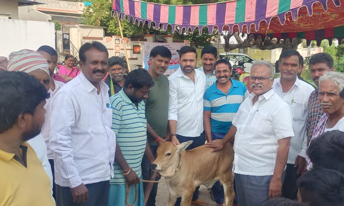  Free Cattle Cervical Diseases Treatment Camp, Nalgonda District, Anumula Mandal,-TeluguStop.com