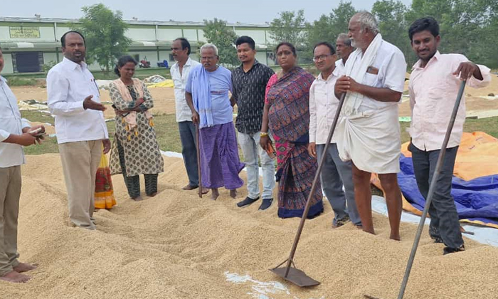  Govt Should Buy Paddy Without Moisture Paladugu Nagarjuna, Paddy ,moisture ,pal-TeluguStop.com