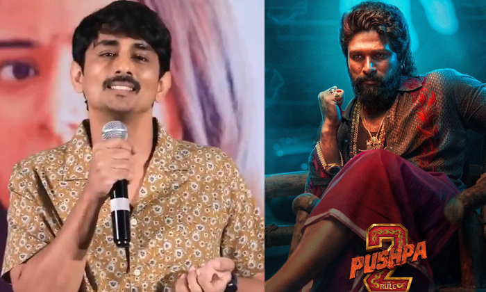  Hero Siddarth Sensational Comments On Pushpa 2 Movie Release Details, Pushpa 2,-TeluguStop.com