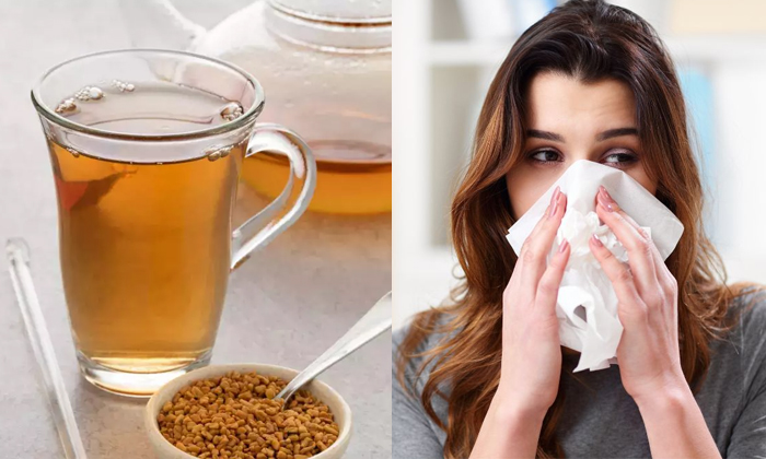  How To Get Rid Of Cold With Fenugreek Seeds Details, Fenugreek Seeds, Fenugreek-TeluguStop.com