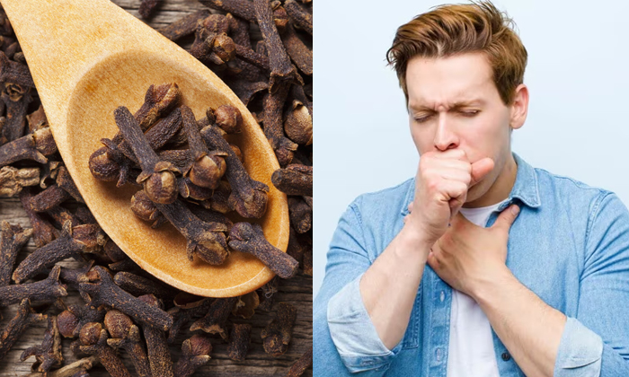  How To Use Cloves For Phlegm Relief Details, Phlegm, Phlegm Relief Tips, Health-TeluguStop.com