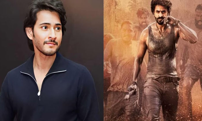  Mahesh Babu Nephew Ashok Galla Interesting Comments On Namrata , Namrata,mahesh-TeluguStop.com