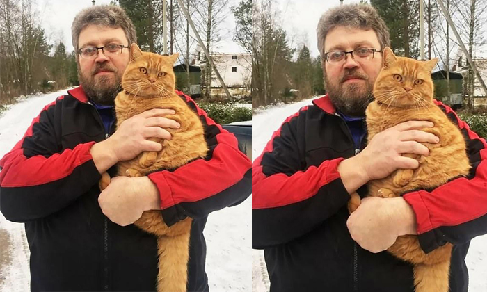  Russian Man Dies After Pet Cat Claws Him Details, Tragic Accident, Cat Attack, H-TeluguStop.com