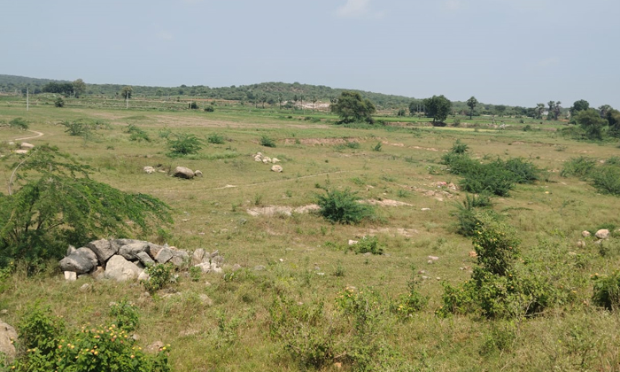  Sc In My Name Was Removed And Left Sc Colony Lake, Sc , Sc Colony Lake, Nalgonda-TeluguStop.com