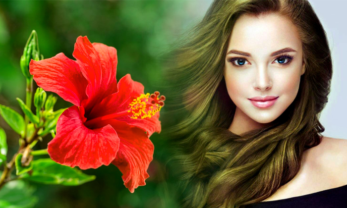  Say Bye Bye To Hair Fall With This Hibiscus Mask Details, Hibiscus Mask, Hibisc-TeluguStop.com