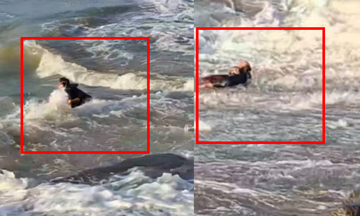  The Waves That Dragged The Two Girls Into The Sea See What Happened Next, Viral-TeluguStop.com