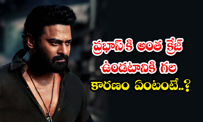  What Is The Reason For Prabhas Being So Crazy Details, Prabhas, Hero Prabhas, Pr-TeluguStop.com