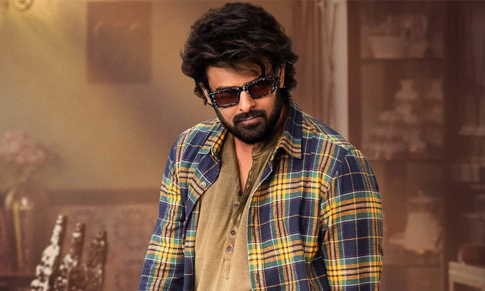  What Is The Reason For Prabhas Being So Crazy Details, Prabhas, Hero Prabhas, Pr-TeluguStop.com