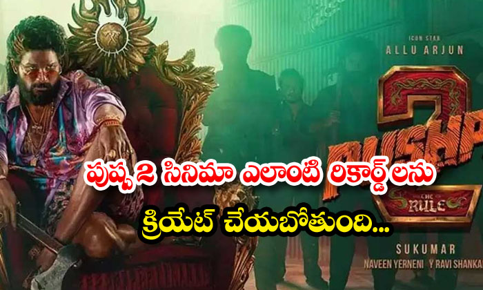  What Kind Of Records Is The Pushpa 2 Movie Going To Create , 600 Crore Budget ,-TeluguStop.com