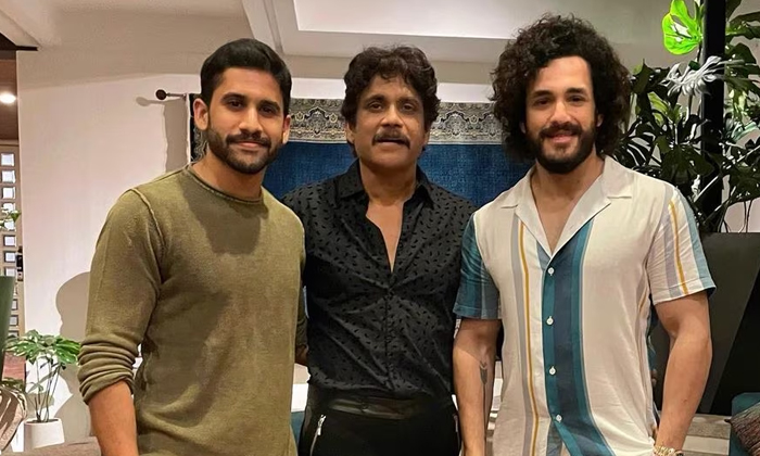 Telugu Akhil, Akhil Flop, Akhil Carees, Akkineni Akhil, Akkineni, Naga Chaitanya