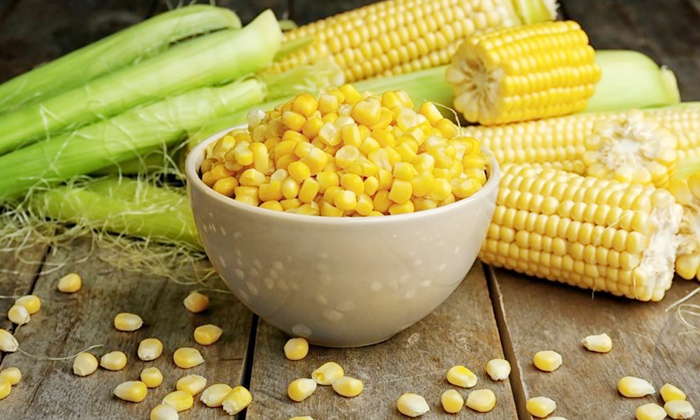  Wonderful Health Benefits Of Eating Sweet Corn Details, Sweet Corn, Sweet Corn-TeluguStop.com