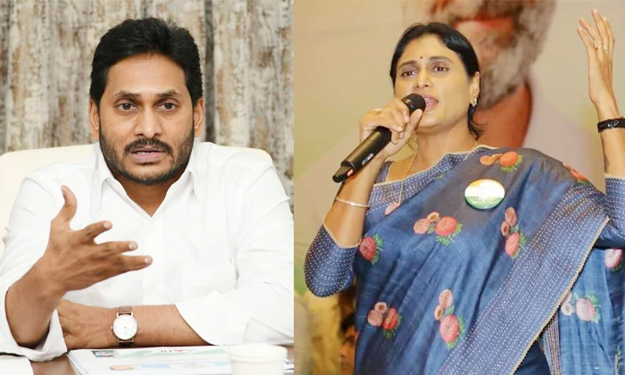 Telugu Ap Pcc Sharmila, Prabhas, Sharmila, Sharmilaprabhas, Tollywood, Ycp, Ys J