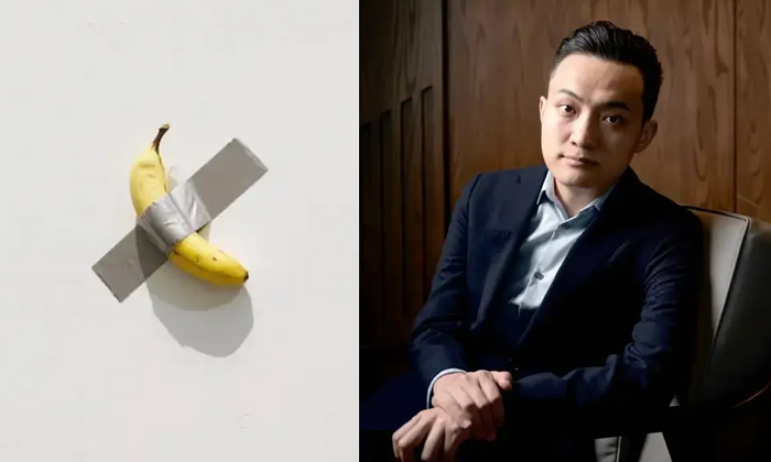 Telugu Banana, Art, Banana Art, Cryptocurrency, Justin Sun, York, York Art, Soth