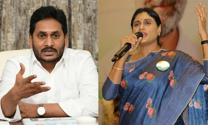  Appcc Chief Ys Sharmila Comments On Ys Jagan Details, Ysrcp, Jagan, Ap Cm Chandr-TeluguStop.com