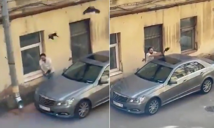  Crows Attacking Car Owner Video Viral Details, Crow ,roof Of Car, Viral Latest,-TeluguStop.com