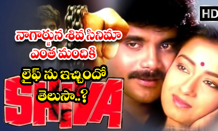  Do You Know How Many People Nagarjuna Shiva's Movie Has Given Life To?, Nagarjun-TeluguStop.com