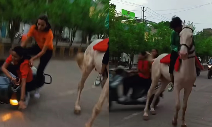  Horse Hit Girls On Scooty Funny Video Viral Details, Horse, Ride, Viral Video, V-TeluguStop.com