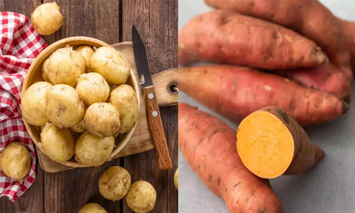  Potato Vs Sweet Potato Which Is Healthier Details, Potato, Potato Health Benefit-TeluguStop.com