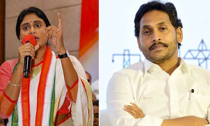  Sharmila's Demand For Jagan's Arrest.. This Is Ycp's Counter, Adani, Bjp, Prime-TeluguStop.com