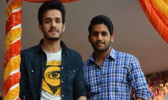 Telugu Crore, Akhil, Akkineni Heroes, Naga Chaitanya, Netflix, Sobhita, Tandel,